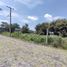  Land for sale in Ayala, Morelos, Ayala