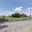  Land for sale in Ayala, Morelos, Ayala