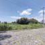  Land for sale in Ayala, Morelos, Ayala