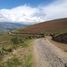  Land for sale in Tabacundo, Pichincha, Tabacundo