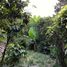  Grundstück zu verkaufen in Vilcabamba Victoria, Loja, Vilcabamba Victoria, Loja