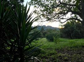  Grundstück zu verkaufen in Vilcabamba Victoria, Loja, Vilcabamba Victoria, Loja