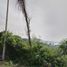  Land for sale in Acapulco, Guerrero, Acapulco