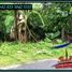  Land for sale in Selemadeg, Tabanan, Selemadeg