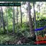  Land for sale in Selemadeg, Tabanan, Selemadeg