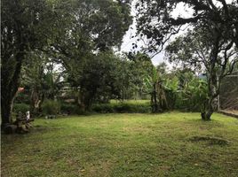 7 Schlafzimmer Haus zu verkaufen in Bugaba, Chiriqui, Volcan, Bugaba, Chiriqui