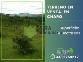 Terrain à vendre à Charo, Michoacan, Charo