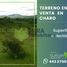 Land for sale in Charo, Michoacan, Charo