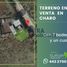  Land for sale in Charo, Michoacan, Charo