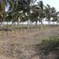  Land for sale in Tecuala, Nayarit, Tecuala