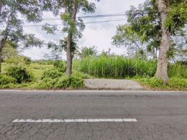  Land for sale in Yogyakarta, Sleman, Sleman, Yogyakarta