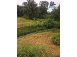  Land for sale in Chiriqui, Chiriqui, David, Chiriqui