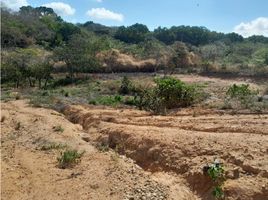  Land for sale in Penonome, Cocle, Penonome, Penonome