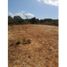  Land for sale in Penonome, Cocle, Penonome, Penonome