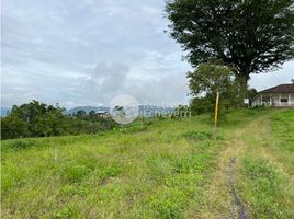  Land for sale in Caldas, Manizales, Caldas