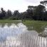  Terrain for sale in Sukawati, Gianyar, Sukawati