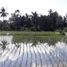  Terrain for sale in Sukawati, Gianyar, Sukawati