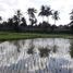  Terrain for sale in Sukawati, Gianyar, Sukawati