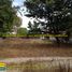  Land for sale in San Juan, Ilocos, San Juan