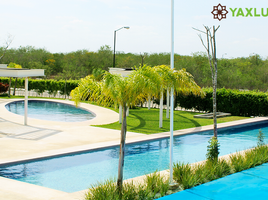  Land for sale in Tixkokob, Yucatan, Tixkokob