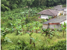  Terreno (Parcela) en venta en Victoria, Caldas, Victoria