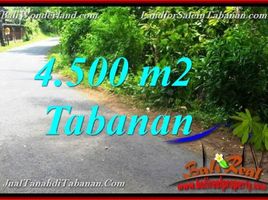  Land for sale in Selemadeg, Tabanan, Selemadeg