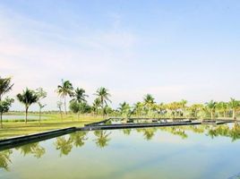 Terreno (Parcela) en venta en O Cho Dua, Hanoi, O Cho Dua, Dong Da, Hanoi