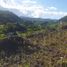  Land for sale in Liloan, Central Visayas, Liloan