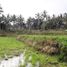  Land for sale in Tegallalang Rice Terrace, Tegallalang, Tegallalang