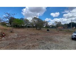  Land for sale in San Carlos, Panama Oeste, San Jose, San Carlos