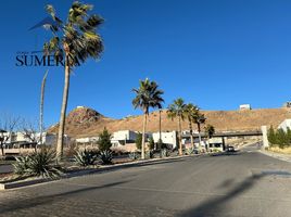  Grundstück zu verkaufen in Chihuahua, Chihuahua, Chihuahua, Chihuahua