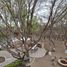 4 Bedroom Villa for sale in Santa Maria Del Rio, San Luis Potosi, Santa Maria Del Rio