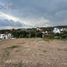  Terreno (Parcela) en venta en Veracruz, Coatepec, Veracruz