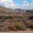 Studio Haus zu verkaufen in Tecate, Baja California, Tecate