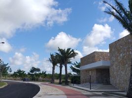  Terreno (Parcela) en venta en Hunucma, Yucatán, Hunucma