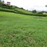  Land for sale in Manizales, Caldas, Manizales