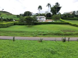  Land for sale in Manizales, Caldas, Manizales