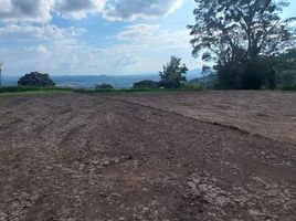  Land for sale in Dosquebradas, Risaralda, Dosquebradas