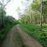  Land for sale in Dist Pochutla, Oaxaca, Dist Pochutla