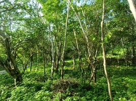  Land for sale in Dist Pochutla, Oaxaca, Dist Pochutla