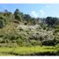 Terrain à vendre à La Ceja, Antioquia, La Ceja, Antioquia