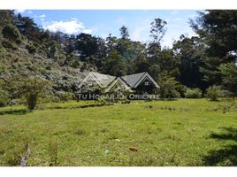 Terrain à vendre à La Ceja, Antioquia, La Ceja, Antioquia
