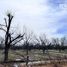  Land for sale in Durango, Durango, Durango, Durango