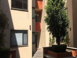 3 Schlafzimmer Appartement zu verkaufen in Cuajimalpa De Morelos, Mexico City, Cuajimalpa De Morelos