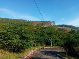  Land for sale in Consolacion, Cebu, Consolacion