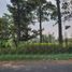  Terreno (Parcela) en venta en Tambaksari, East Jawa, Tambaksari, Surabaya, East Jawa