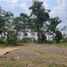  Terreno (Parcela) en venta en Tambaksari, East Jawa, Tambaksari, Surabaya, East Jawa