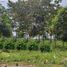  Terreno (Parcela) en venta en Tambaksari, East Jawa, Tambaksari, Surabaya, East Jawa