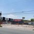  Grundstück zu vermieten in Torreon, Coahuila, Torreon