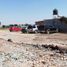 Terreno (Parcela) en venta en Irapuato, Guanajuato, Irapuato